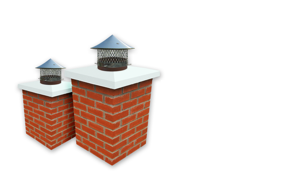 Is your chimney subject to animal invasions?